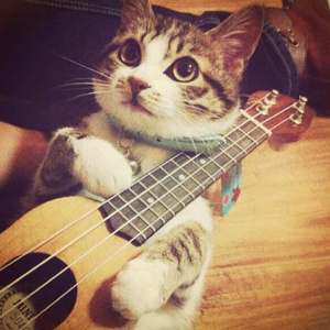 黄💖色💖视💖频💖
